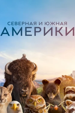 Америка